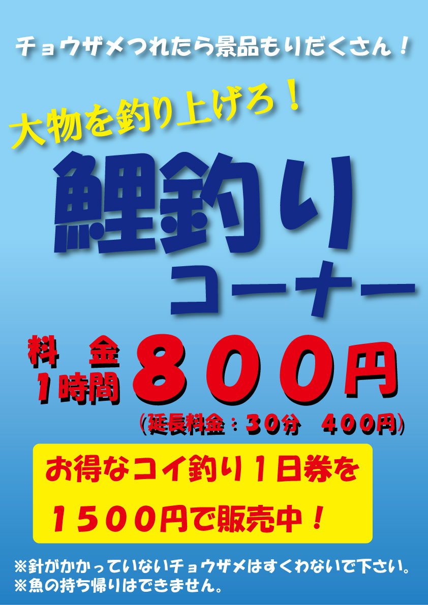 鯉釣りコーナー つりぼり 手取フィッシュランド